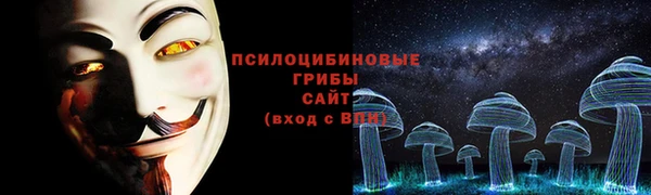 бошки Нягань