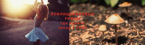 соль ск Няндома