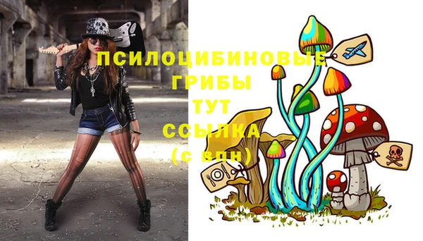 соль курить ск Дмитриев