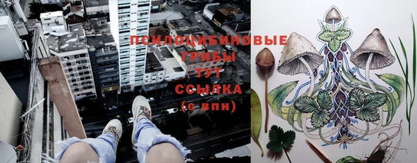 прущая мука Дмитров